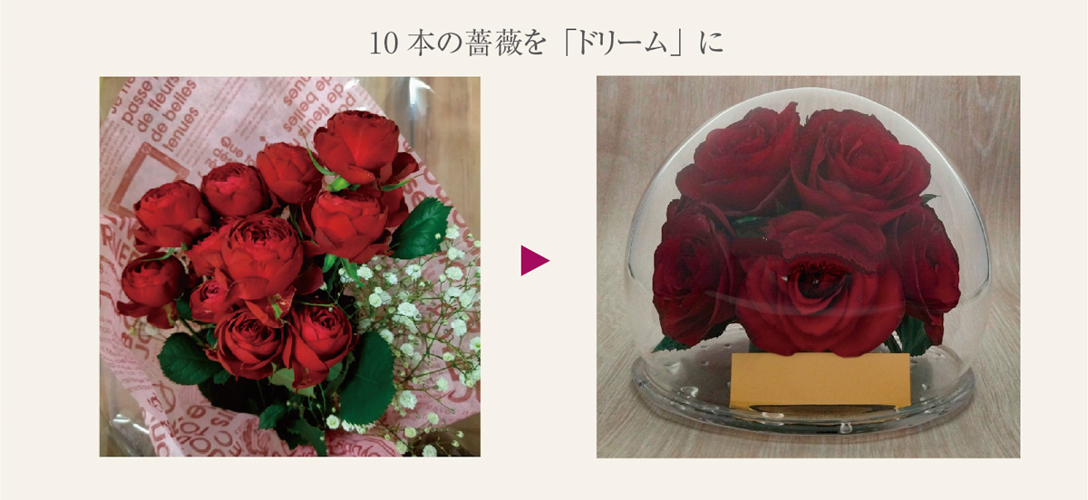 10 本の薔薇を「ドリーム」に