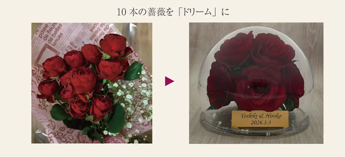 10 本の薔薇を「ドリーム」に