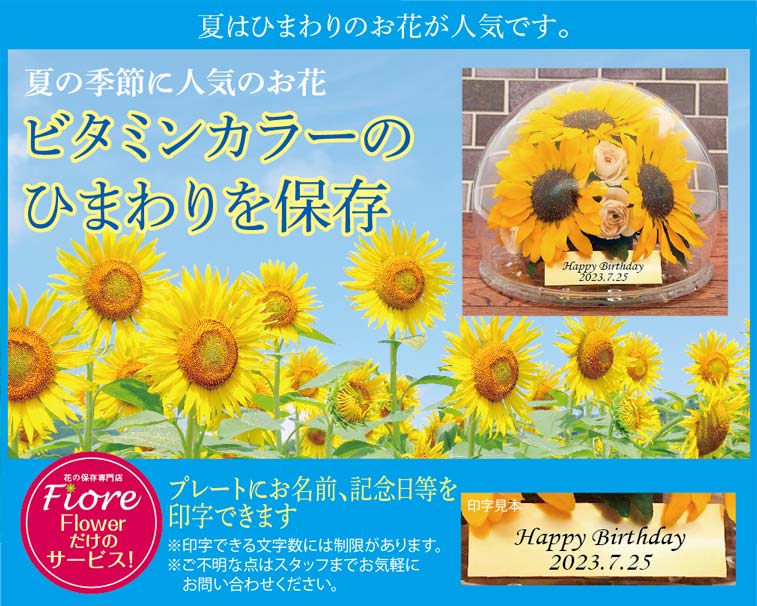 人気のお花・向日葵保存