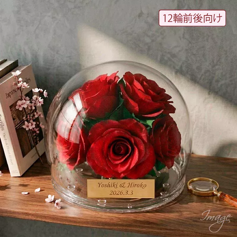 バラ12輪 ドリーム
